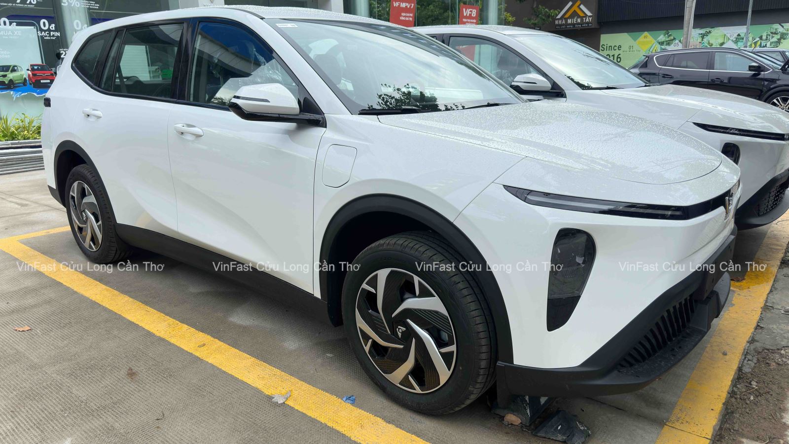 VinFast Limo Green tại VinFast Cửu Long Cần Thơ