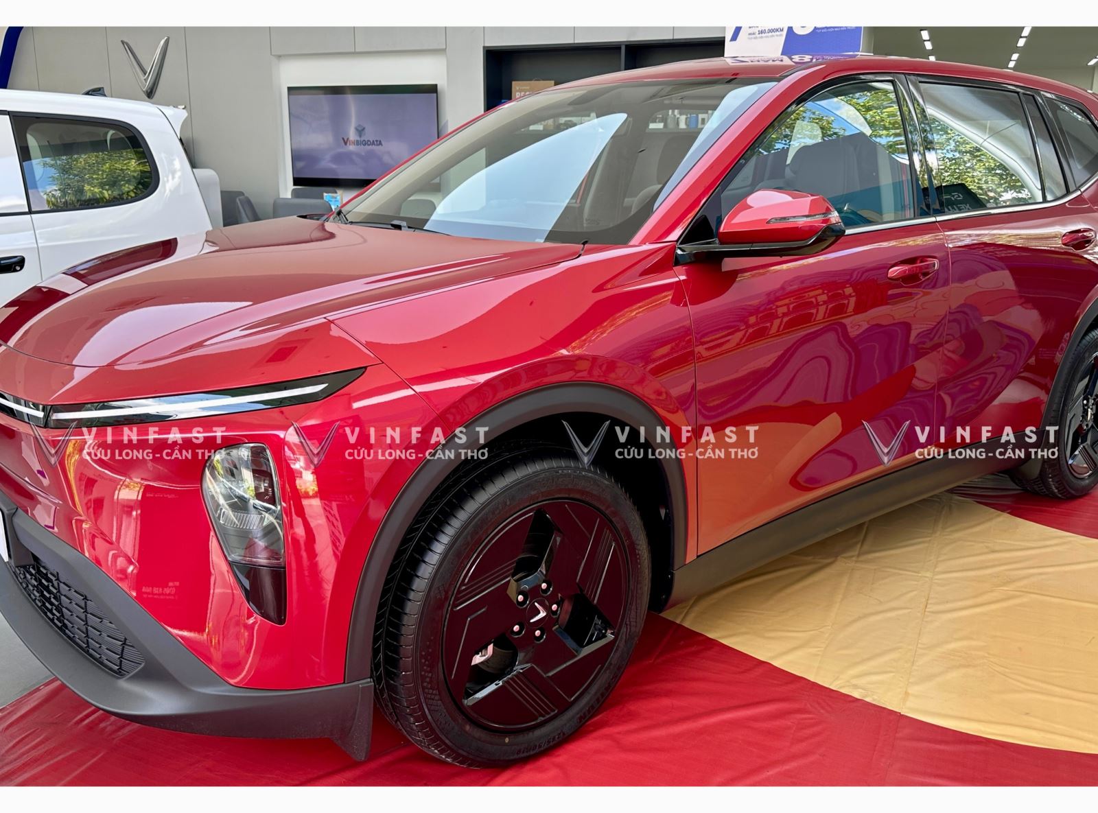 mpv7