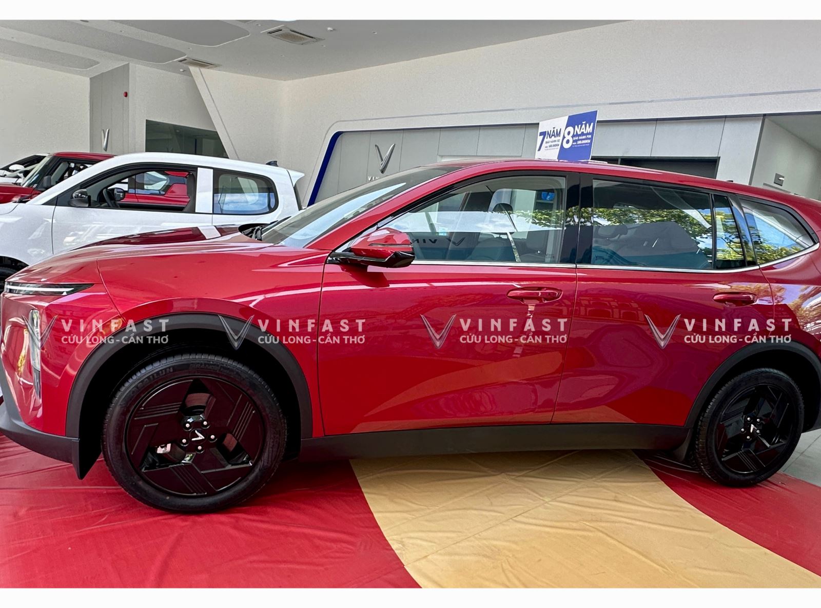 mpv7