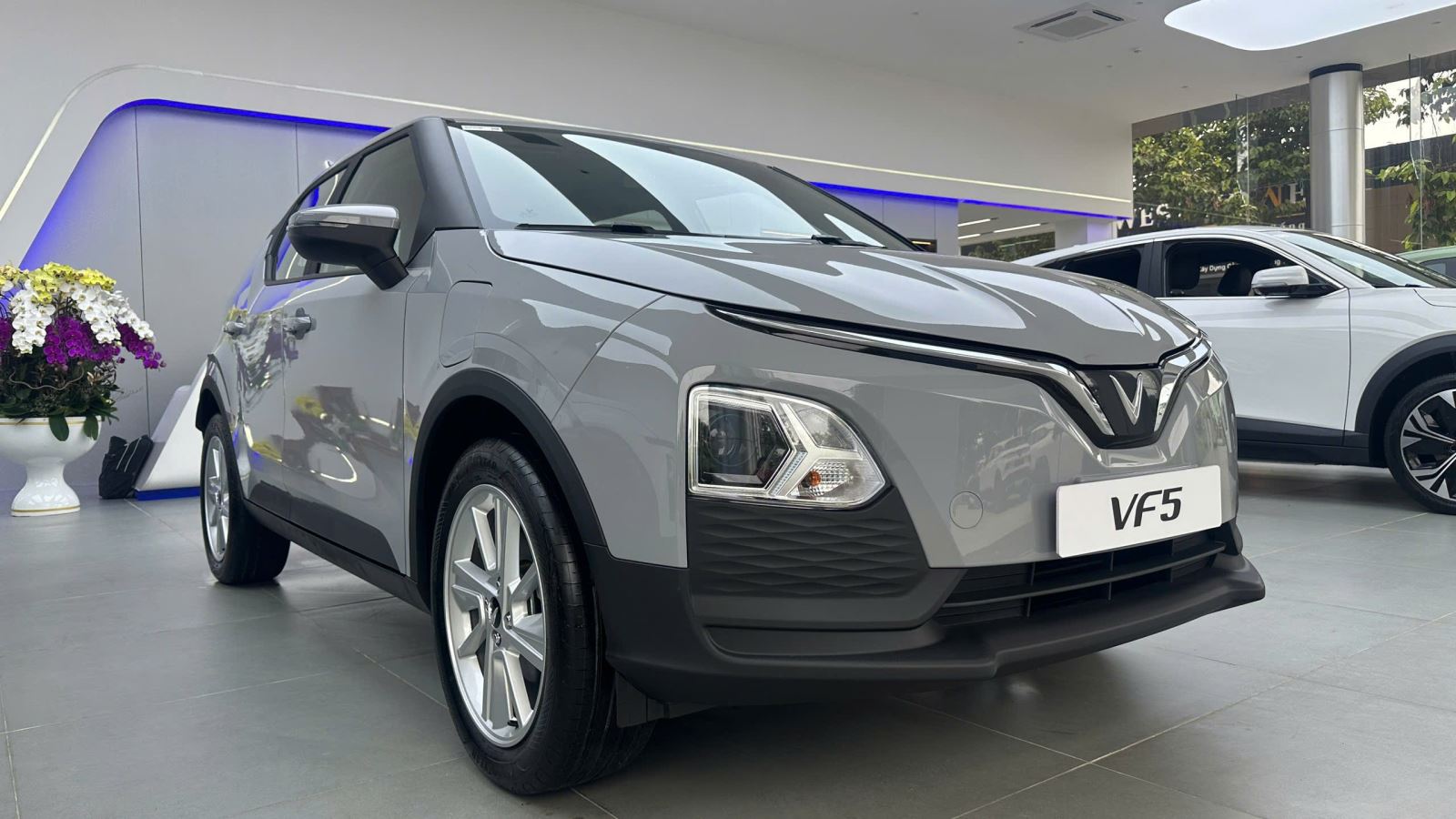 vf5-xám-xi-mang